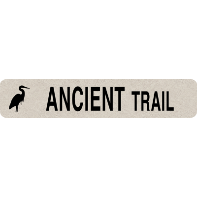 ANCIENT TRAIL
